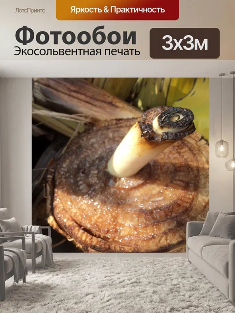 Фотообои Банан