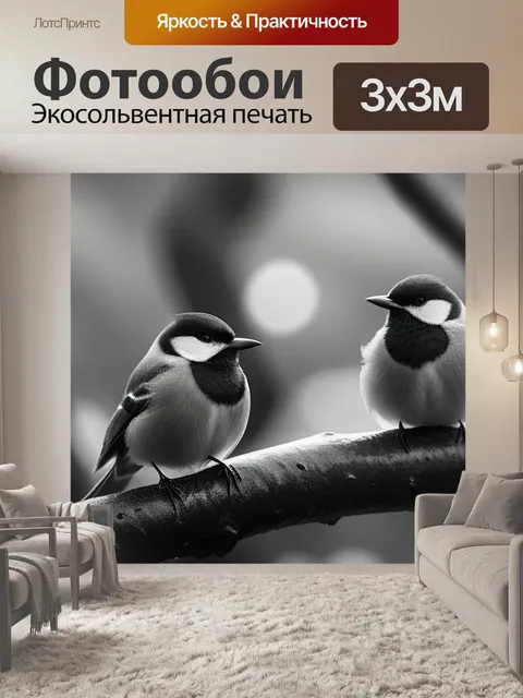 Фотообои с птицами чернобелый