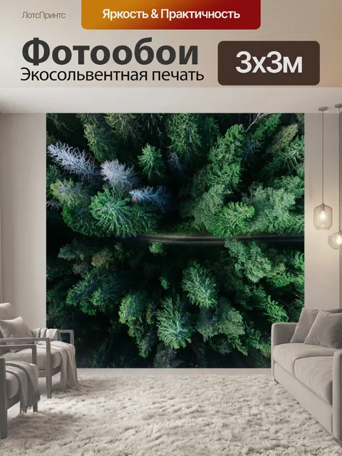 Фотообои Лес