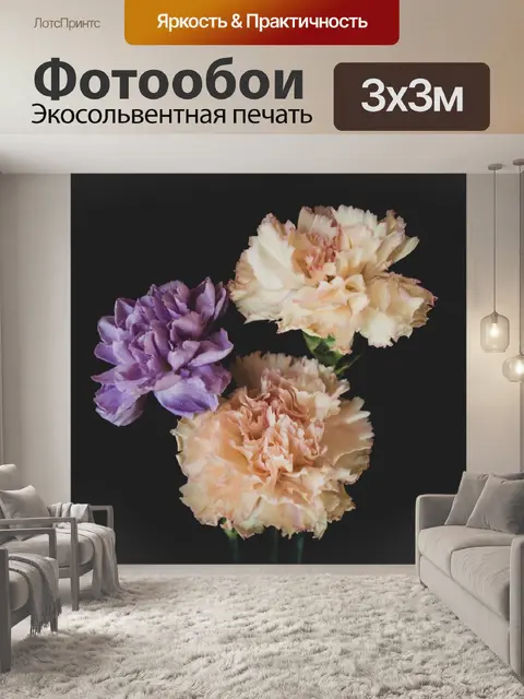 Фотообои гвоздики, букет, бутоны, цветы