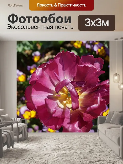Фотообои Пион