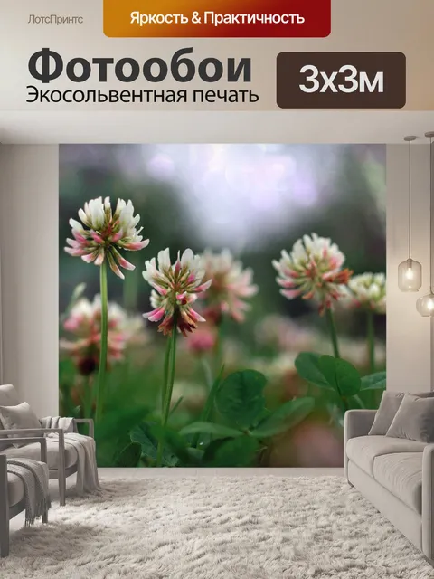 Фотообои Клевер цветущее полевое растение