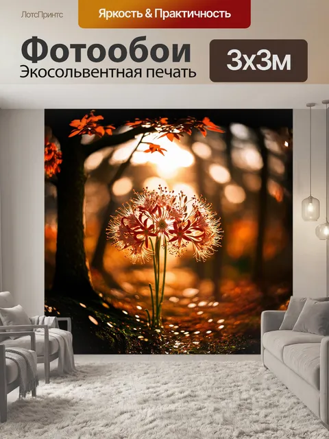 Фотообои в центре композиции — богатый букет ликориса лучистого