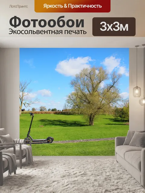 Фотообои Электрический самокат