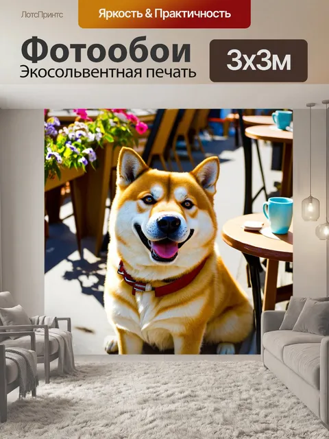 Фотообои на уютной террасе кафе собака породы сиба-ину улыбается, наслаждаясь солнечными лучами