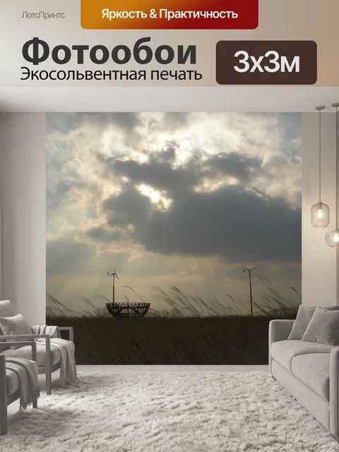 Фотообои Пампасная трава