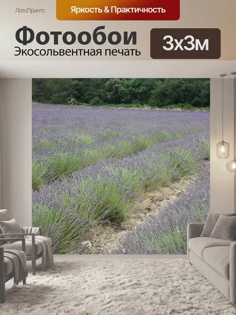 Фотообои Лаванда
