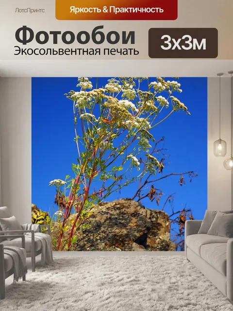Фотообои Цветы