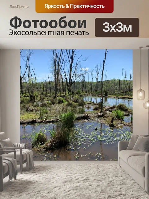 Фотообои Пэрис-Маунтин, Гринвилл, Южная Каролина