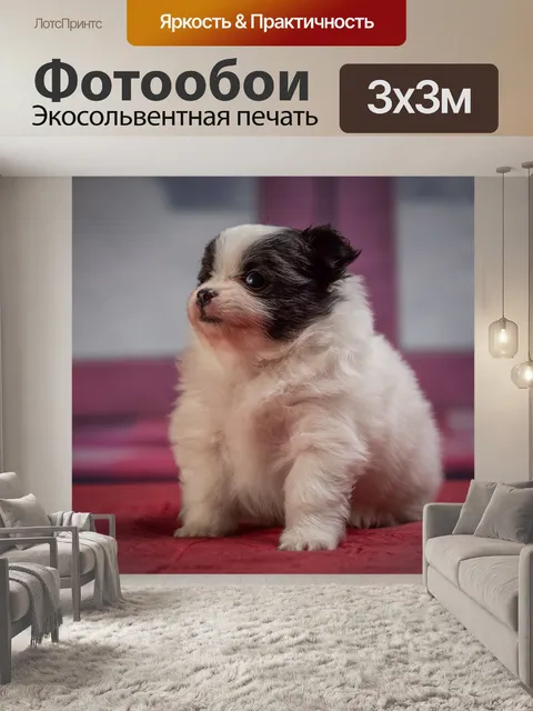 Фотообои Щенок