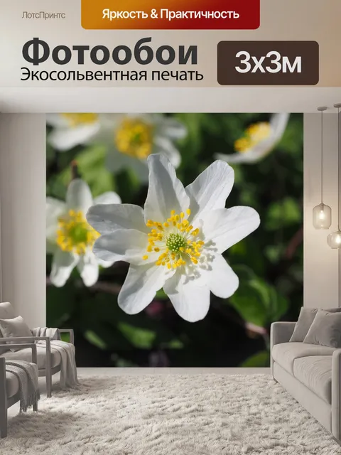 Фотообои Древесные анемоны