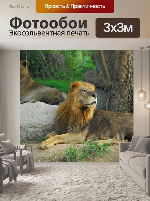 Фотообои Лев