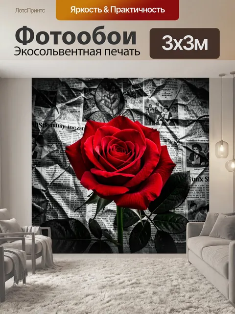 Фотообои Красная роза с насыщенными лепестками на фоне черно-белых смятых газет