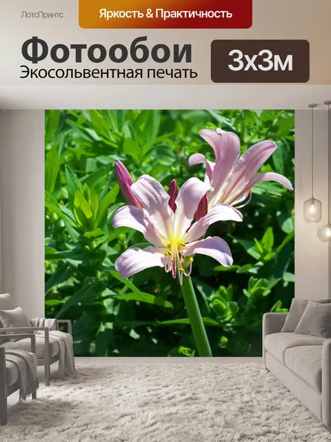 Фотообои Лилии