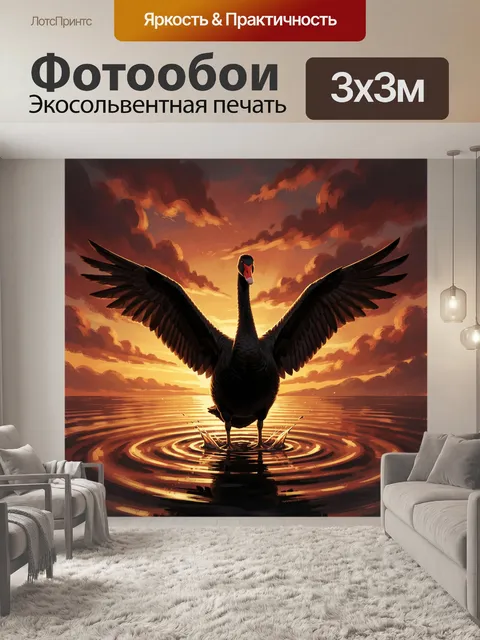 Фотообои Черный лебедь на закате