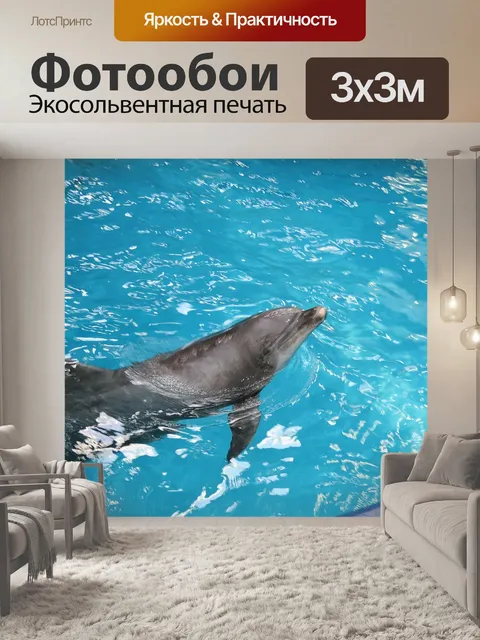 Фотообои Дельфин