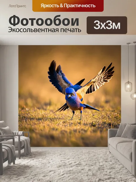 Фотообои птица, содержащая инстинктивные движения во время охоты, с ярким освещением и акцентами на перьях…
