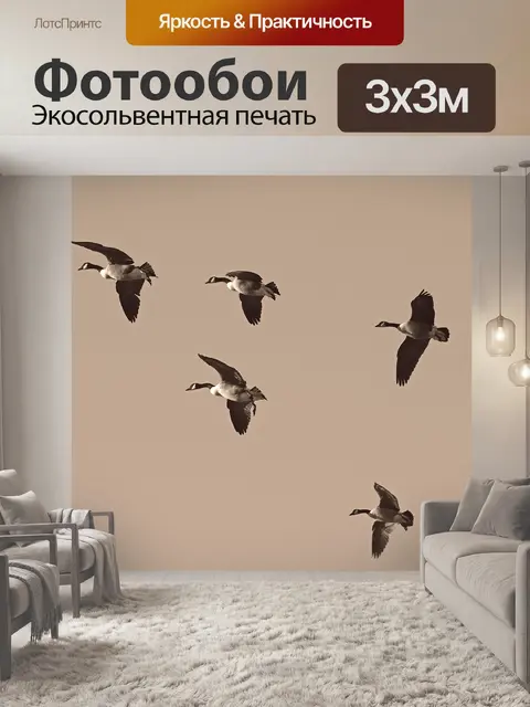 Фотообои Гуси