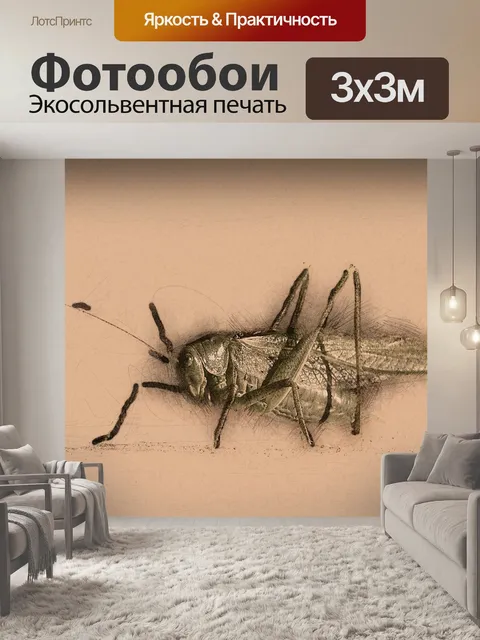 Фотообои Зелёный кузнечик