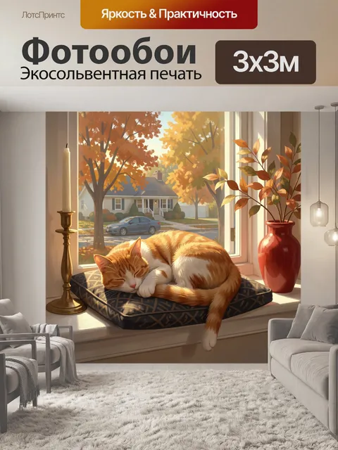 Фотообои Спящий кот у окна осенью