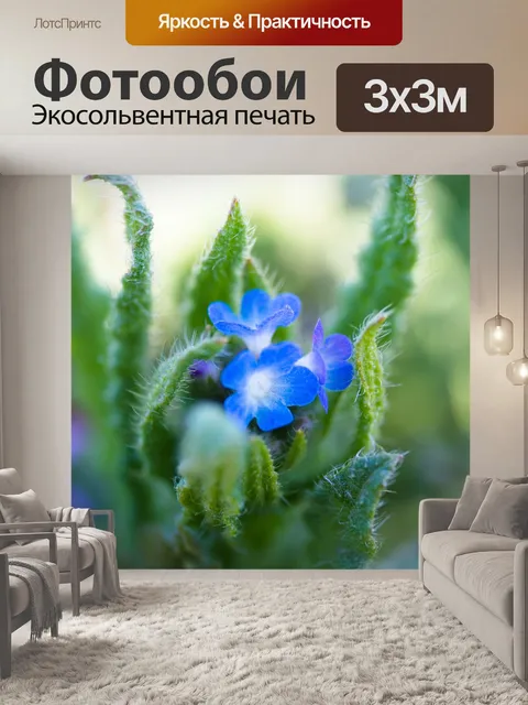 Фотообои Завод
