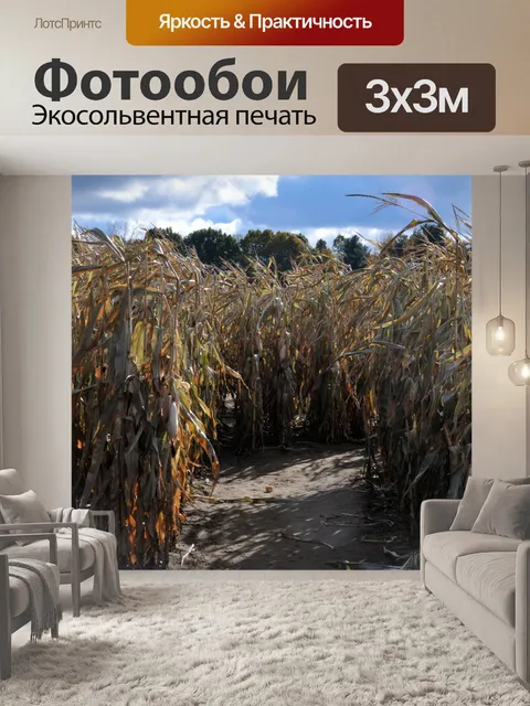 Фотообои Кукуруза лабиринт вход