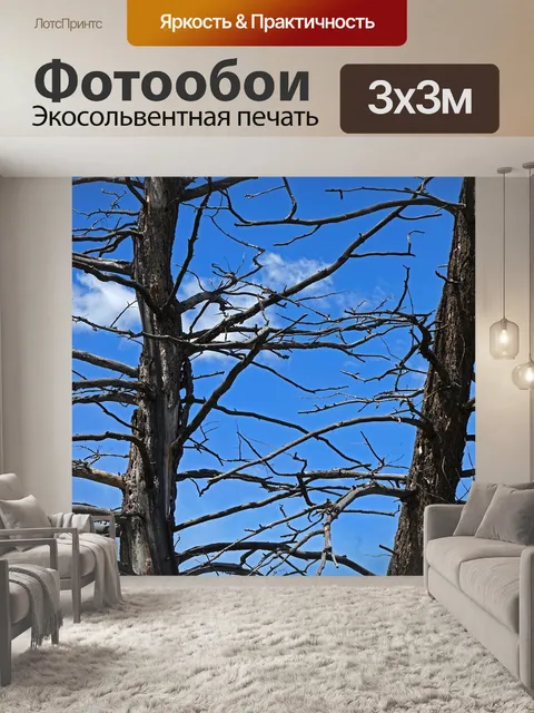 Фотообои Деревья