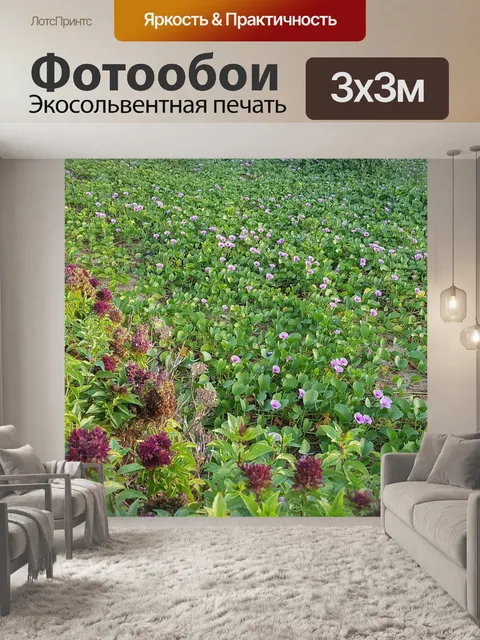 Фотообои Цветы