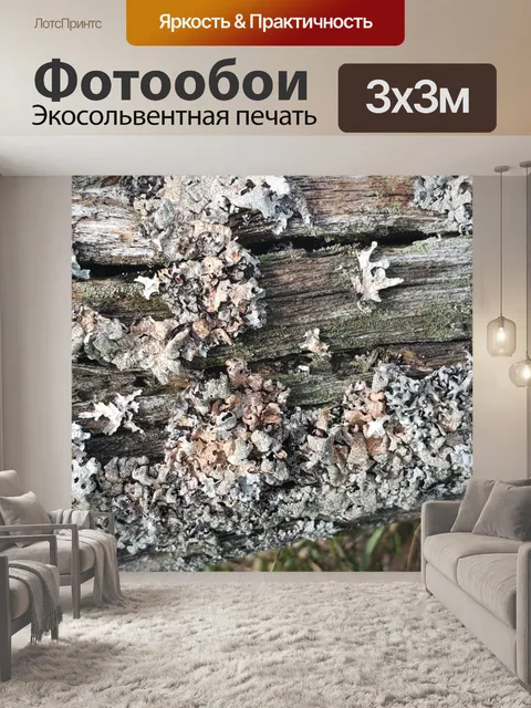 Фотообои Лишайник на заборе 3