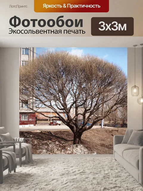 Фотообои Весной дерево в городе