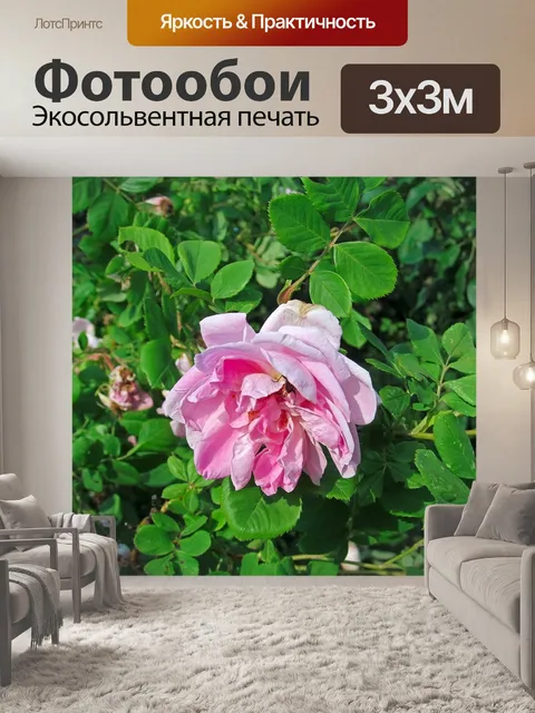 Фотообои Растение
