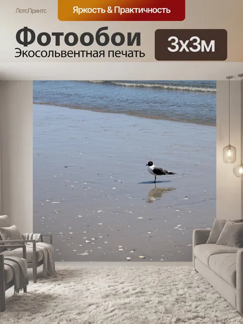Фотообои Чайка