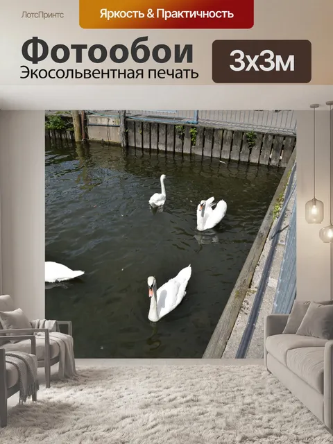 Фотообои Четыре лебедя