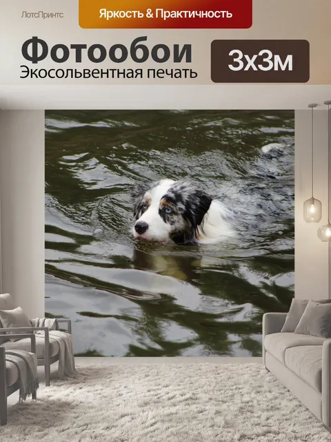 Фотообои Собаки