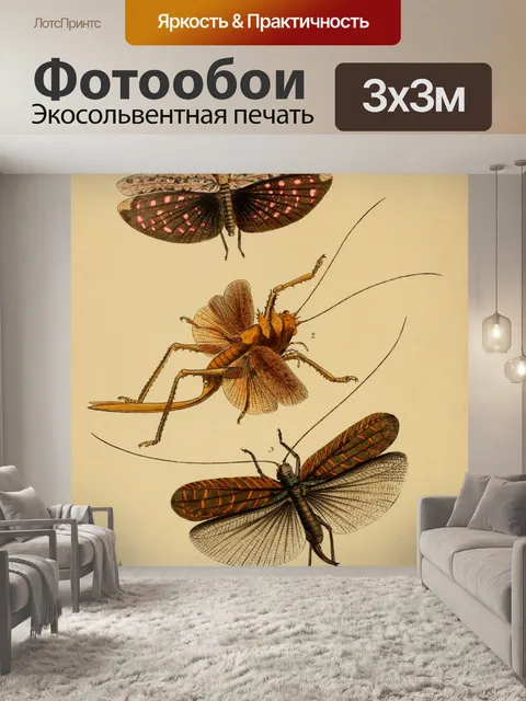 Фотообои Бабочки Винтажное Искусство
