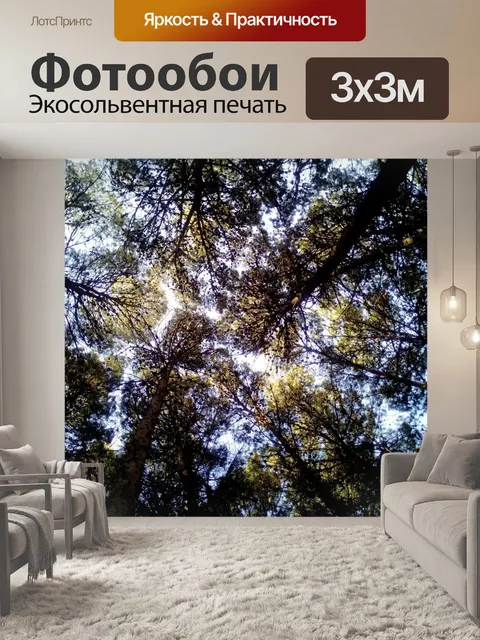 Фотообои Деревья