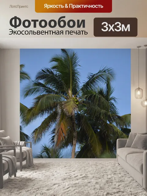 Фотообои Пальма