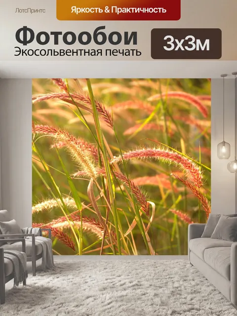 Фотообои Цветки одичалые Стоковая Фотография