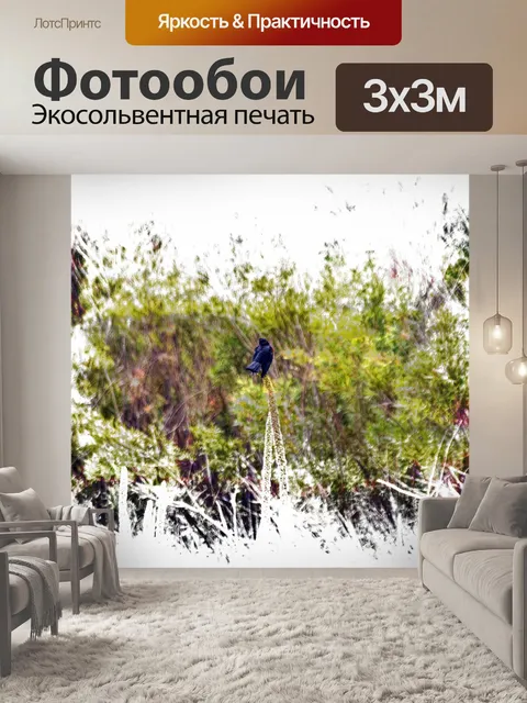 Фотообои красная грудь черная птица