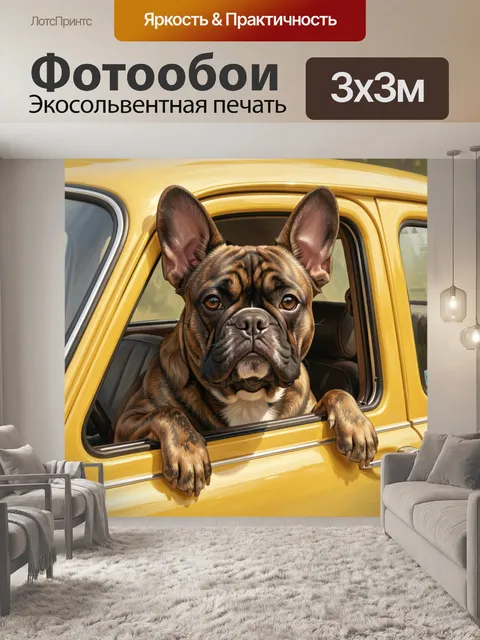 Фотообои Французский бульдог в желтой машине