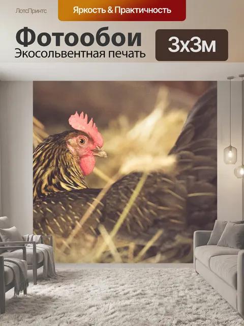 Фотообои Цыпленок на ферме