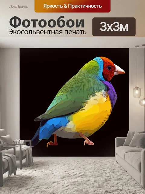 Фотообои Птица