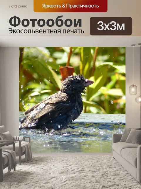 Фотообои Воробей