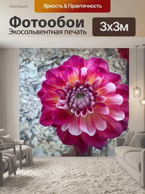 Фотообои Донна Георгины