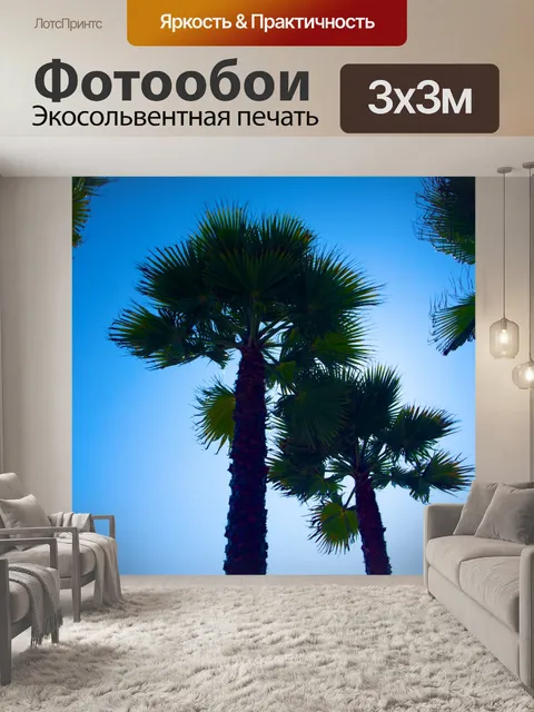 Фотообои Пара Palm Tree Силуэты