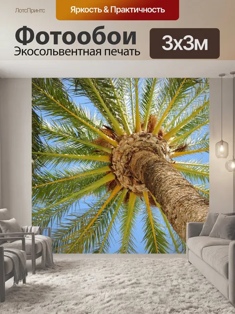 Фотообои Дерево пальмы