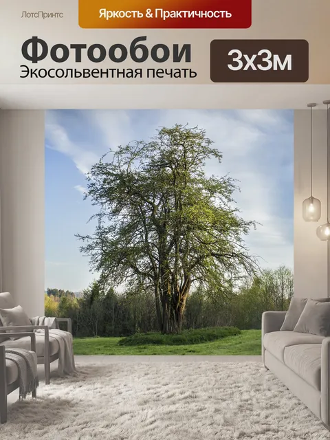 Фотообои Большой
