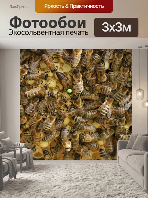 Фотообои Пчелы