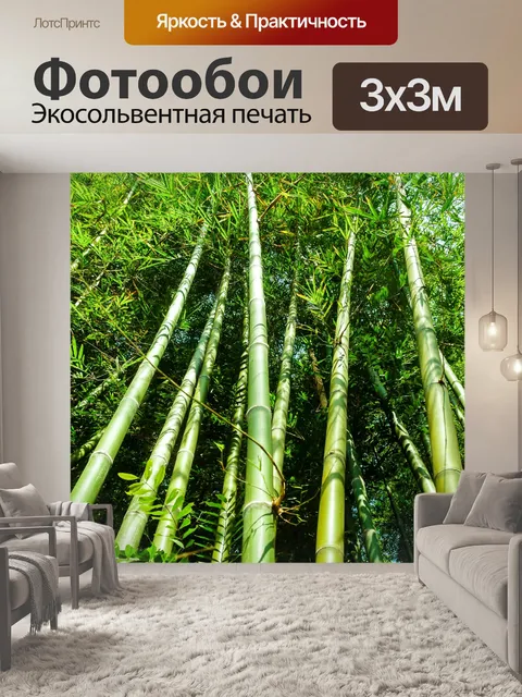 Фотообои Бамбуковый лес