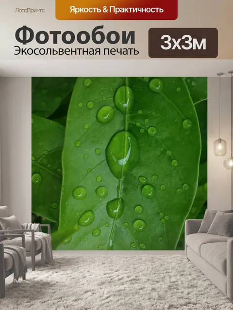 Фотообои Листья